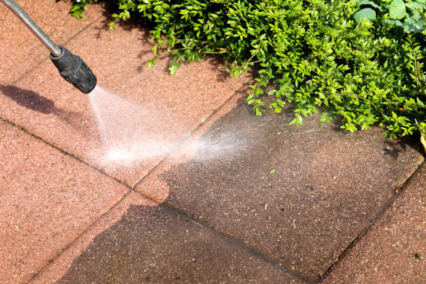 Best Pressure Washing Siding  in Dorothy, NJ